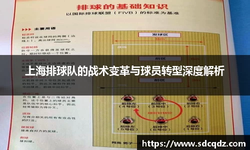 上海排球队的战术变革与球员转型深度解析