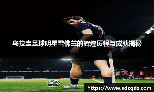 乌拉圭足球明星雪佛兰的辉煌历程与成就揭秘